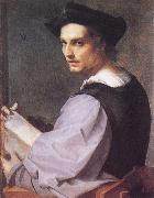 Andrea del Sarto Portrait of a Young Man china oil painting reproduction